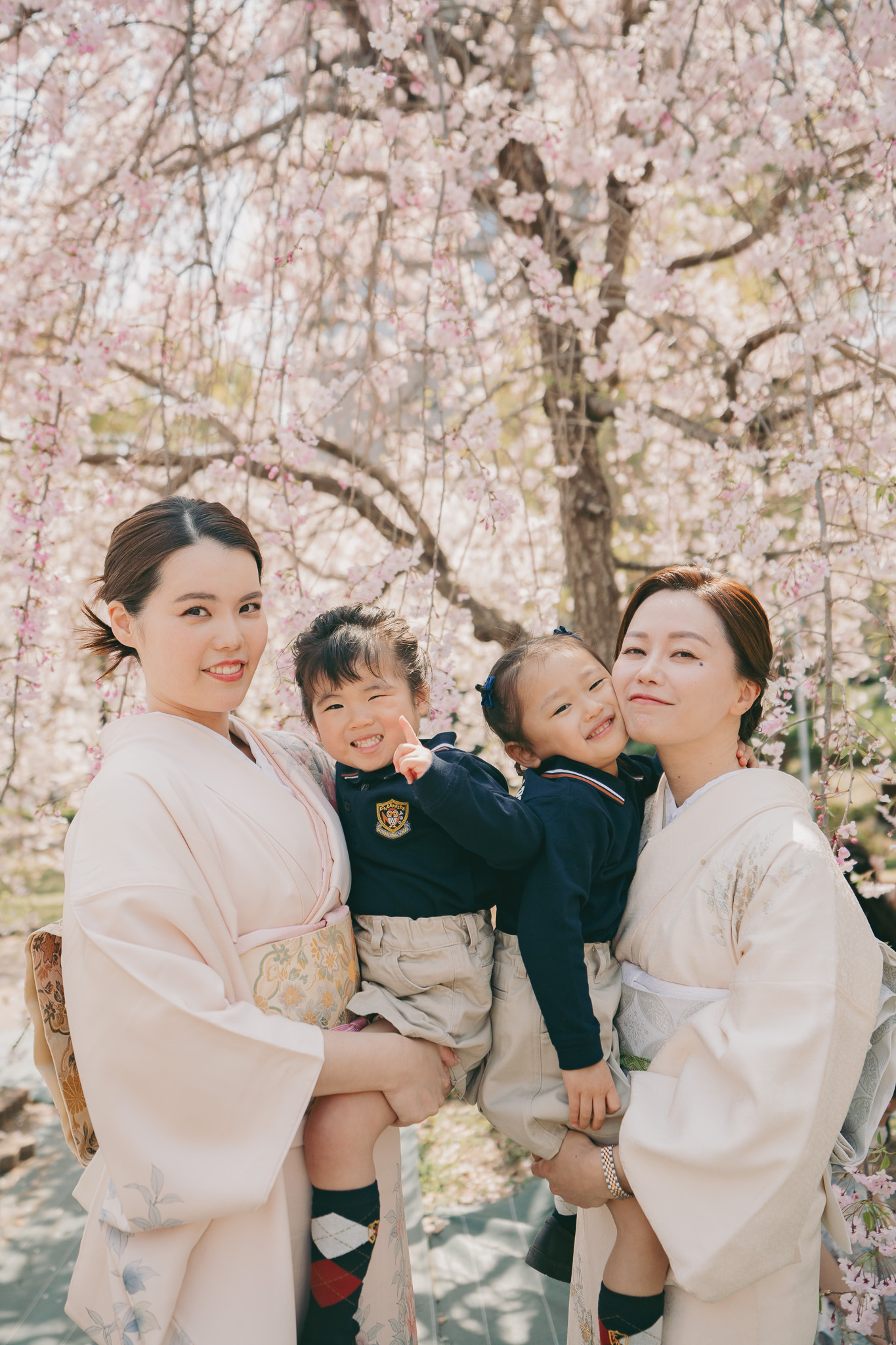 ノーマルプラン